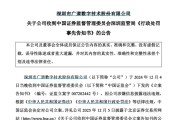安装黄历顶格重罚！839680，退市警报拉响