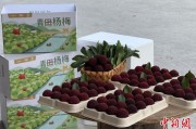 安装黄历高速赋能产业升级：一条“杨梅路”的致富密码