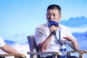 安装黄历蜂巢汽车武红超预测：未来五年中国新能源车渗透率将突破70%